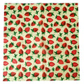 Reusable Beeswax Food Wrap